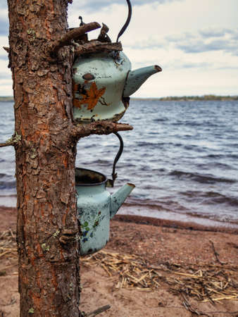 Two old teapots on the background of a calm lake. Two teapots are hanging on a tree in the forestの写真素材