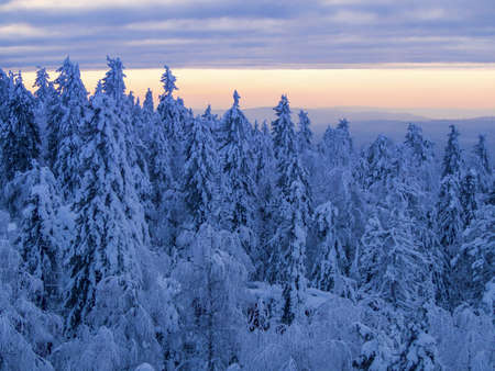 Snow-covered trees in winter at sunset in the foothills of the Ural mountainsの写真素材
