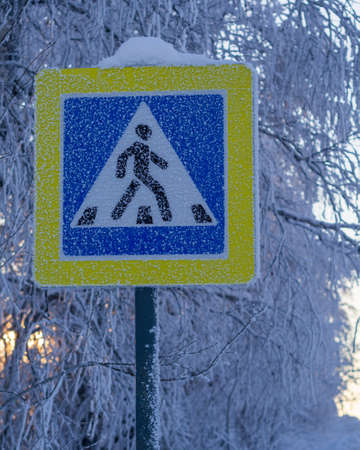 Frozen pedestrian sign covered with frost in severe frost.の写真素材