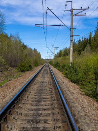 A single track railway in a forest belt. An industrial landscape with a railway. Perspective, the rails rush into the distance towards the horizonの写真素材