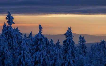 Snow-covered trees in winter at sunset in the foothills of the Ural mountainsの写真素材