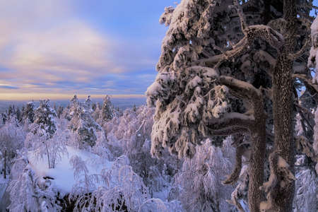 Beautiful bizarre rocks in the famouse place "Stone city" in the Perm region, Middle Ural mountains, Russiaの写真素材