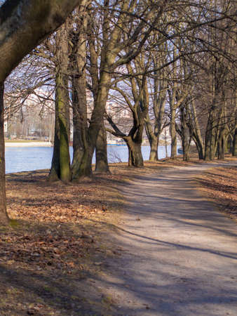 cityscape in St. Petersburg. river buildings and park in the fall.の写真素材