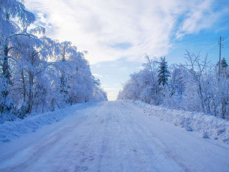 Snow-covered road among snow-covered trees in the winter Ural forestの写真素材