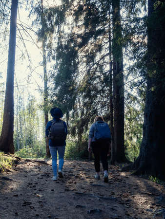 back view of two multiethnic friends with backpacks walking in forestの写真素材