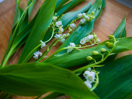 lilies of the valley on the old boardsの写真素材