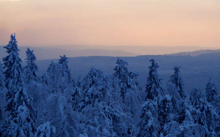 Snow-covered trees in winter at sunset in the foothills of the Ural mountainsの写真素材