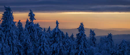 Snow-covered trees in winter at sunset in the foothills of the Ural mountainsの写真素材