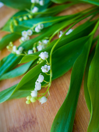 lilies of the valley on the old boardsの写真素材