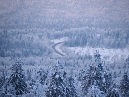 Snow-covered road among snow-covered trees in the winter Ural forestの写真素材