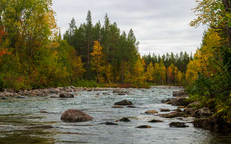 A river with a rocky bottom in an autumn forest on a cloudy day. photoの写真素材
