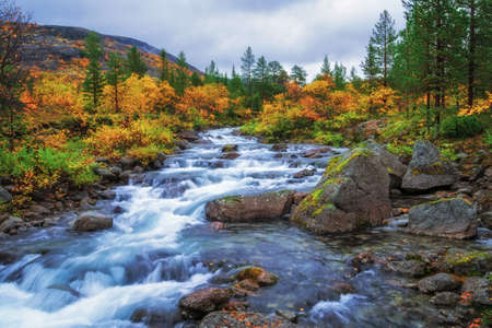 River in the Khibiny mountains in autumn. autumn landscape. photoの写真素材