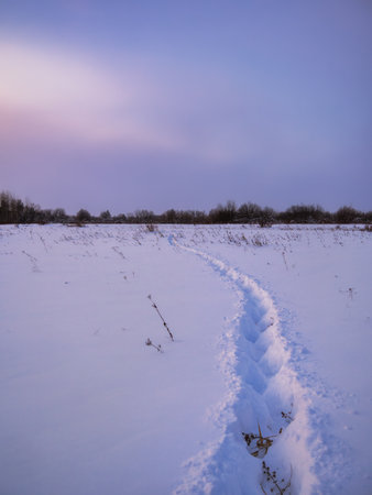 Trail in the snow at sunrise and sunset. Footprints in the snow in the forest. Winter background. Trail, traces of people in fresh snow.の写真素材