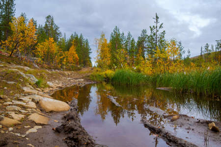 dirty country road among forests and fields after heavy rains. photoの写真素材
