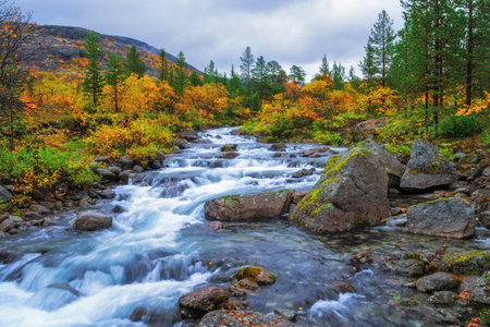 River in the Khibiny mountains in autumn. autumn landscape.の写真素材