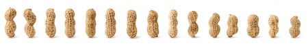 set of peanuts in nutshell, unpeeled and peeled peanuts isolated on white background with shadow. photoの写真素材