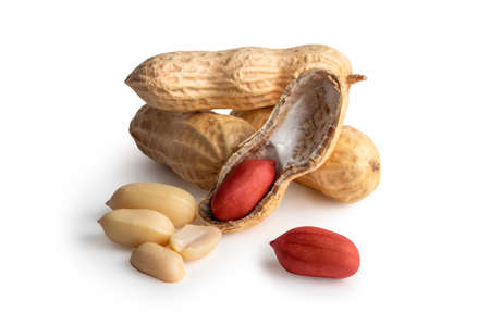 set of peanuts in nutshell, unpeeled and peeled peanuts isolated on white background with shadow. photoの写真素材