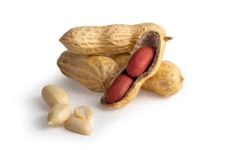 set of peanuts in nutshell, unpeeled and peeled peanuts isolated on white background with shadow. photoの写真素材