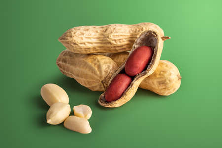 set of peanuts in a nutshell, unpeeled and peeled peanuts on a green background with a shadow. photoの写真素材