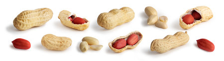 set of peanuts in nutshell, unpeeled and peeled peanuts isolated on white background with shadow. photoの写真素材