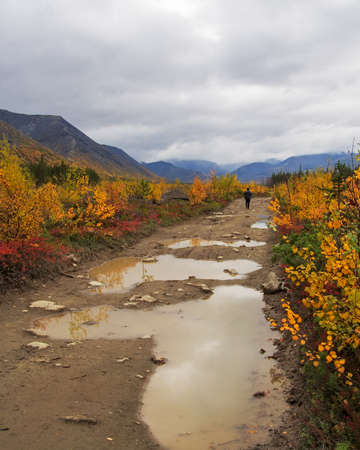 The road among the blooming tundra in autumn is a gloomy landscape of the Khibiny Mountains. photoの写真素材