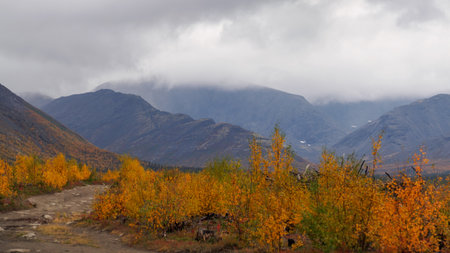 Autumn colorful tundra on the background mountain peaks in cloudy weather. Mountain landscape in Kola Peninsula, Arctic, Khibiny Mountains. photoの写真素材
