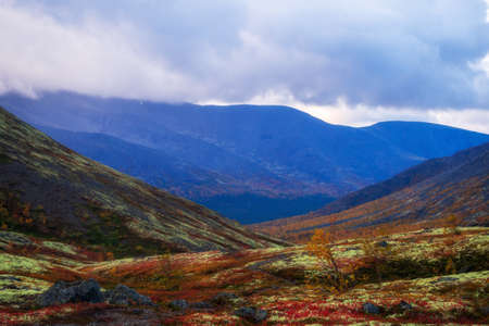 Autumn colorful tundra on the background mountain peaks in cloudy weather. Mountain landscape in Kola Peninsula, Arctic, Khibiny Mountains.の写真素材