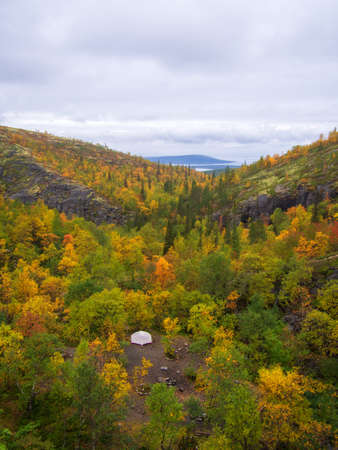 Path on the forest slope of the mountain in autumn in Khibiny, Kola Peninsula, Russia. photoの写真素材