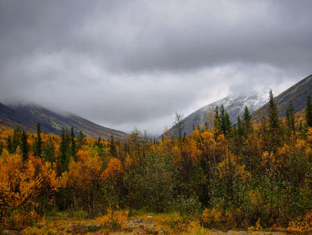 Autumn colorful tundra on the background mountain peaks in cloudy weather. Mountain landscape in Kola Peninsula, Arctic, Khibiny Mountains. photoの写真素材
