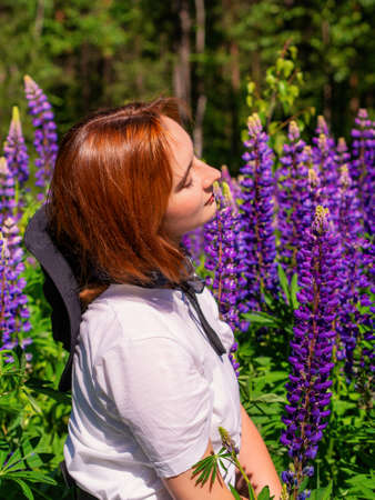 Young caucasian woman in nature among the flowers of blooming lupine. photoの写真素材