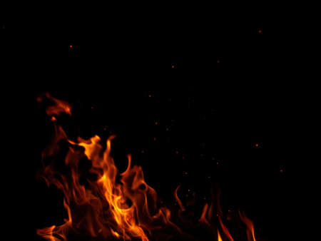 Abstract flame of fire from a campfire on a black backgroundの写真素材