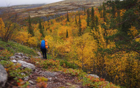A young woman with a backpack and trekking poles in the Khibiny mountains. The concept of a healthy and active lifestyle. Girl on the background of nature mountains.の写真素材