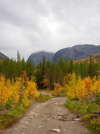 The road among the blooming tundra in autumn is a gloomy landscape of the Khibiny Mountainsの写真素材