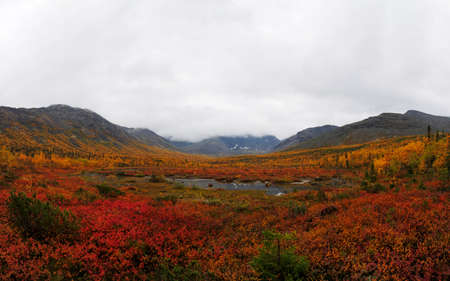 Autumn colorful tundra on the background mountain peaks in cloudy weather. Mountain landscape in Kola Peninsula, Arctic, Khibiny Mountains.の写真素材