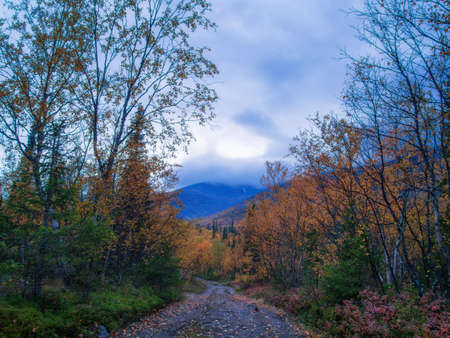 Dirt gravel road with mountains in the background. Autumn mountains of Khibinyの写真素材