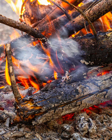 bonfire in the evening summer forest. high quality photoの写真素材