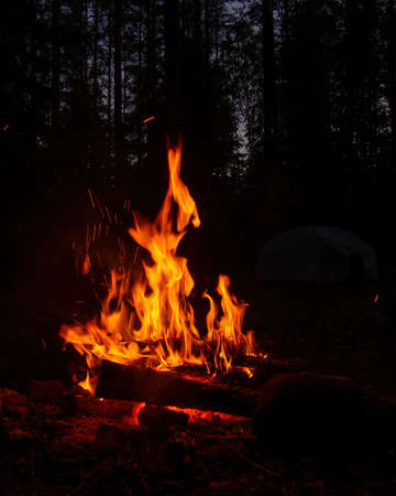 Abstract flame of fire from a campfire on a black background. photoの写真素材