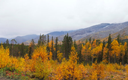 Autumn colorful tundra on the background mountain peaks in cloudy weather. Mountain landscape in Kola Peninsula, Arctic, Khibiny Mountains. photoの写真素材