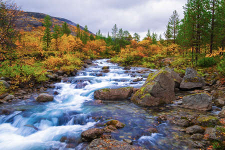 River in the Khibiny mountains in autumn. autumn landscape.の写真素材