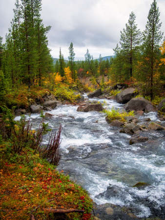 River in the Khibiny mountains in autumn. autumn landscape.の写真素材
