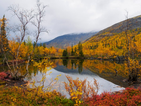 Autumn colorful tundra on the background mountain peaks in cloudy weather. Mountain landscape in Kola Peninsula, Arctic, Khibiny Mountains. photoの写真素材