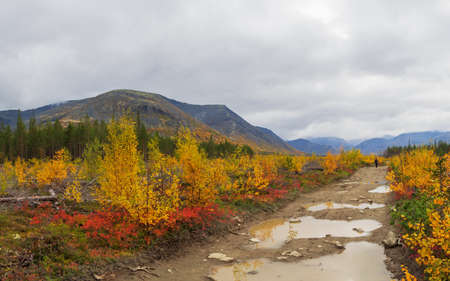 The road among the blooming tundra in autumn is a gloomy landscape of the Khibiny Mountains. photoの写真素材