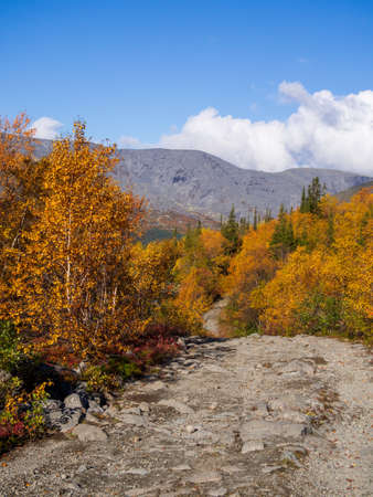 Dirt gravel road with mountains in the background. Autumn mountains of Khibiny. photoの写真素材