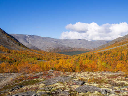 Autumn colorful tundra on the background mountain peaks in cloudy weather. Mountain landscape in Kola Peninsula, Arctic, Khibiny Mountains. photoの写真素材