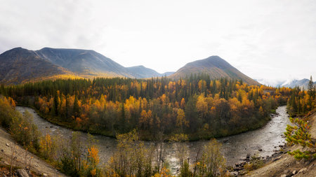 A river with a rocky bottom in an autumn forest on a cloudy day.の写真素材