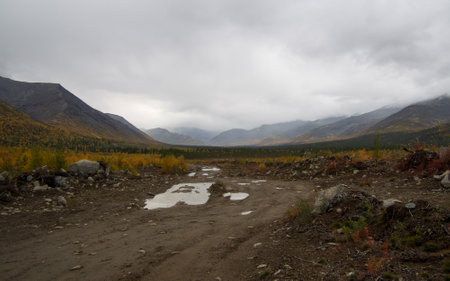 Autumn colorful tundra on the background mountain peaks in cloudy weather. Mountain landscape in Kola Peninsula, Arctic, Khibiny Mountains.の写真素材