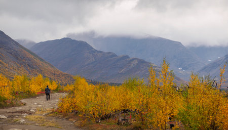 A woman in the autumn season walks along a path in the mountains on a rainy day.の写真素材