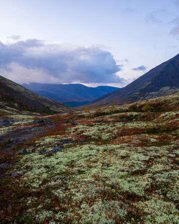Autumn colorful tundra on the background mountain peaks. Mountain landscape in Kola Peninsula, Arctic, Khibiny Mountains.の写真素材