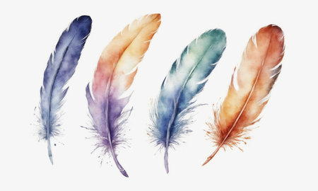 watercolor drawing. Multi-colored feathers on a white background.の素材