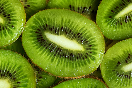 kiwi green fresh round slices laid on a backgroundの写真素材